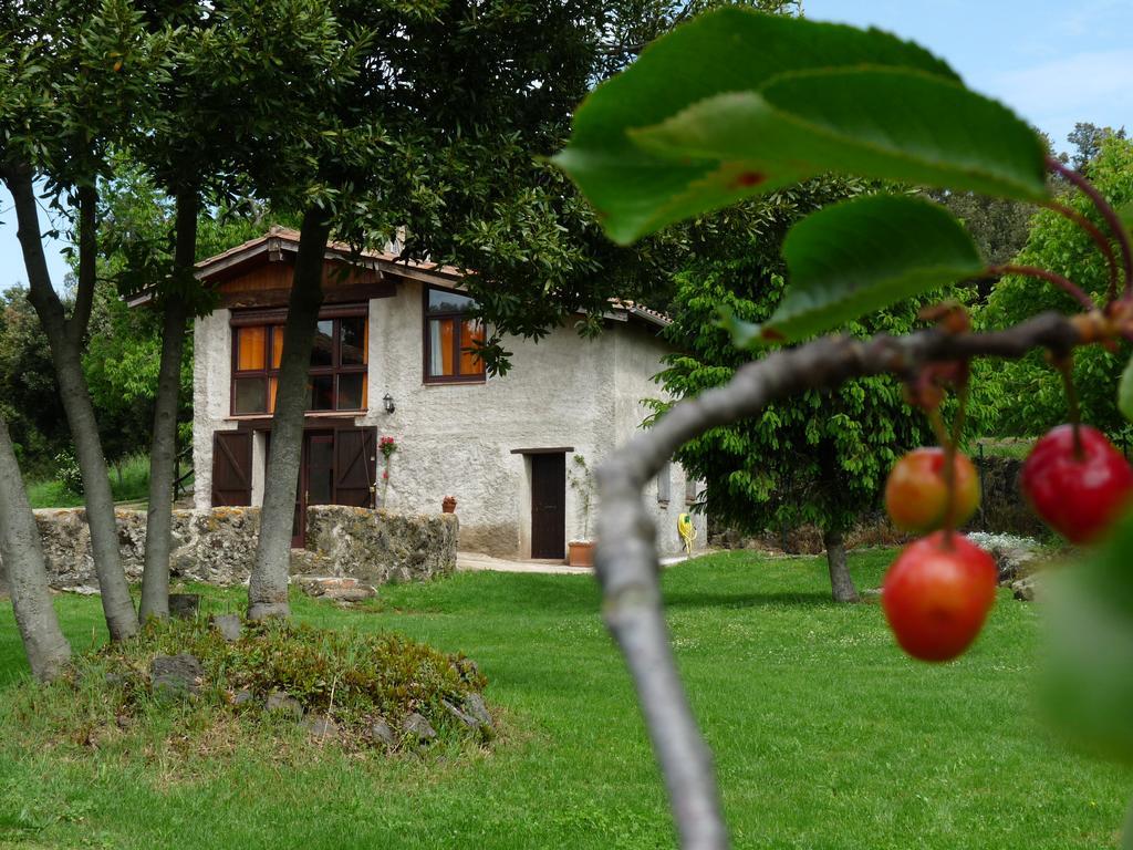 Can Janot Villa Olot Luaran gambar